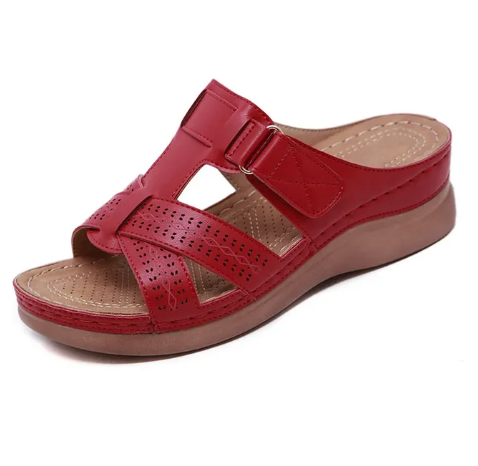 Zinnia | Women&